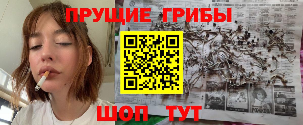 Псилоцибиновые грибы мицелий  закладка  Кудрово  Вход с VPN 